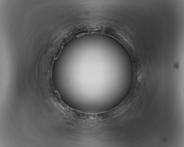 X0000116810961200912181341
