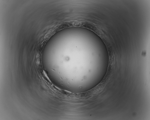 X0000116810962200912181341