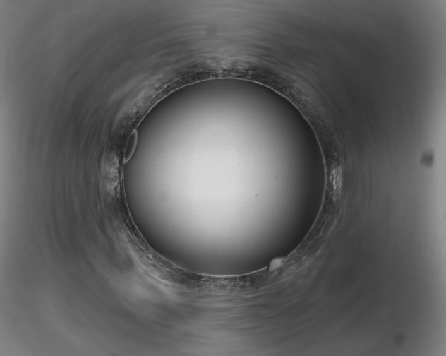 X0000116810963200912181341