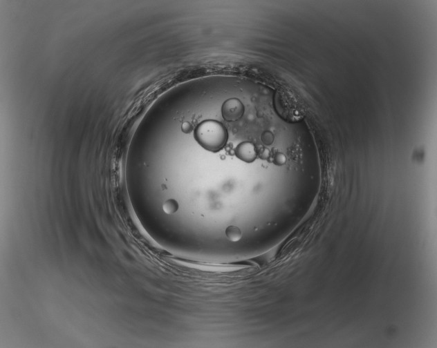 X0000116810964200912181341