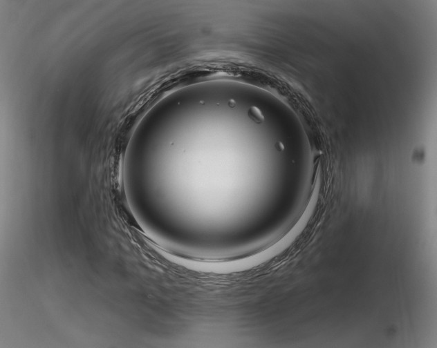 X0000116810965200912181341