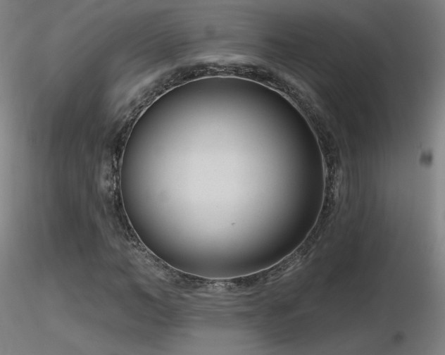 X0000116810966200912181341