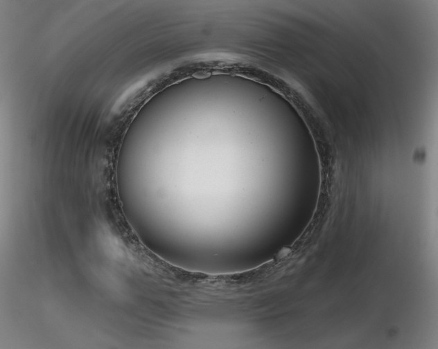X0000116810967200912181341