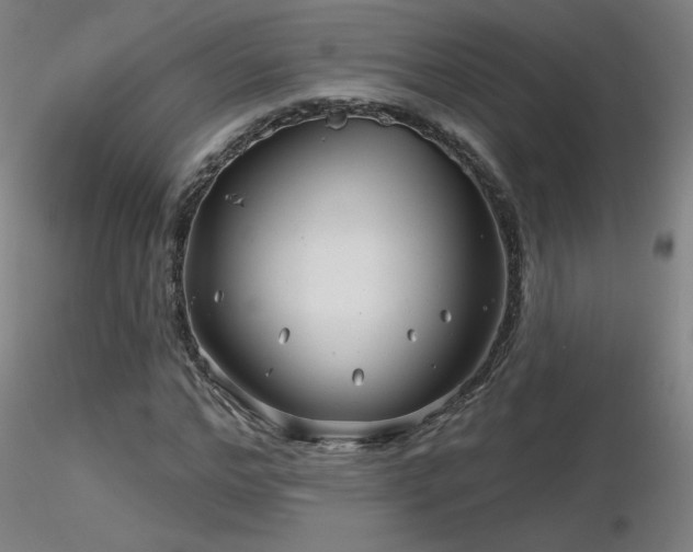 X0000116810968200912181341