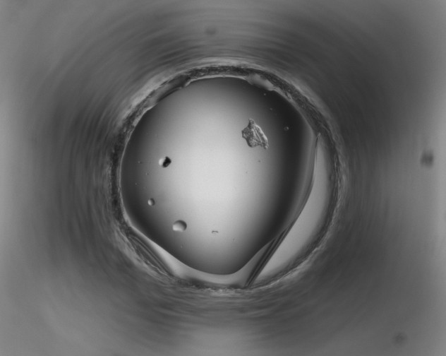 X0000116810969200912181341