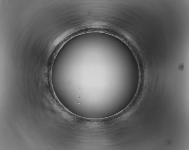 X0000116810970200912181341