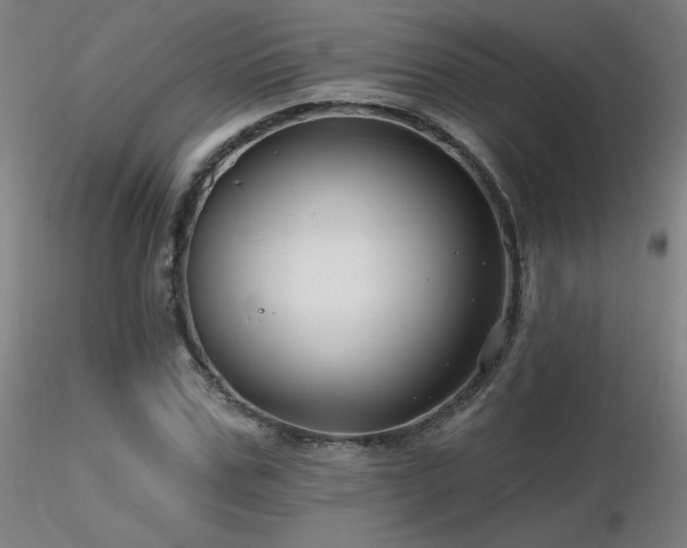 X0000116810971200912181341