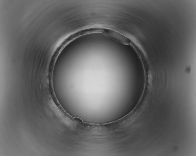 X0000116810972200912181340