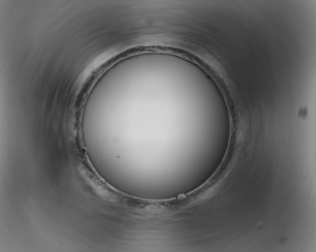X0000116810974200912181340