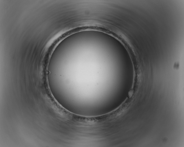 X0000116810975200912181340