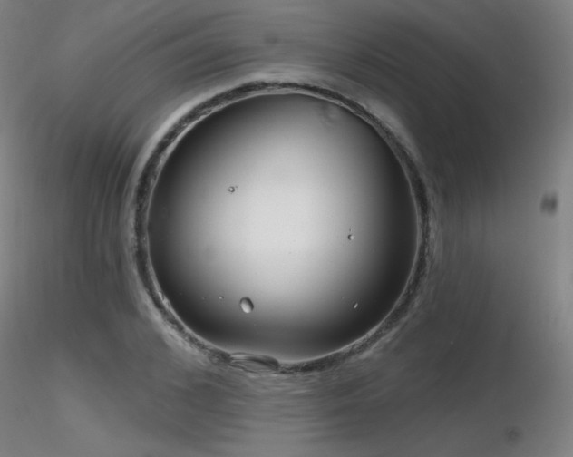 X0000116810976200912181340