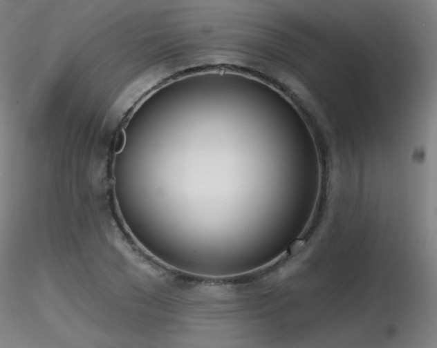 X0000116810977200912181340