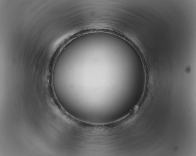 X0000116810979200912181340