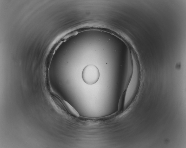 X0000116810981200912181340