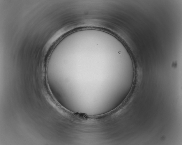 X0000116810982200912181340