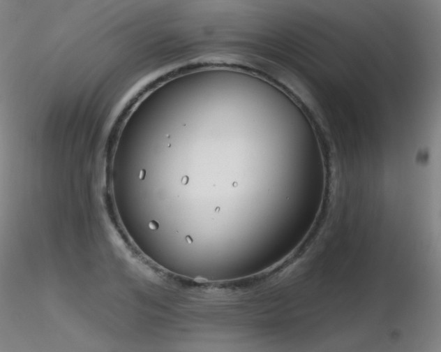 X0000116810984200912181340