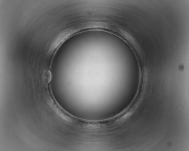 X0000116810985200912181340