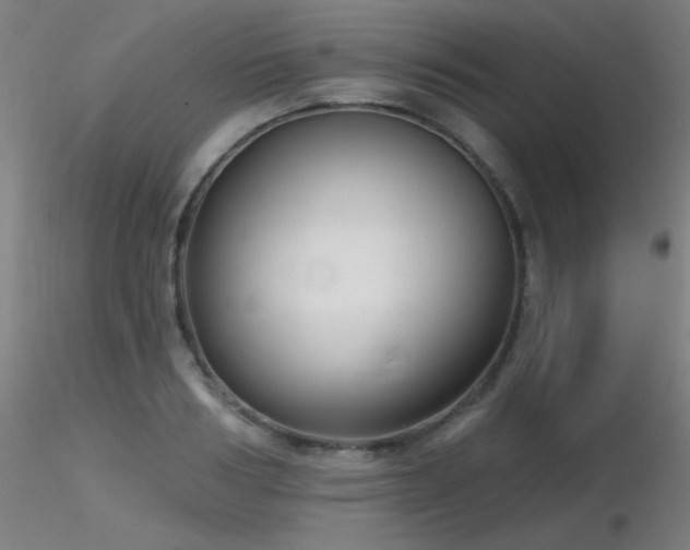 X0000116810986200912181340
