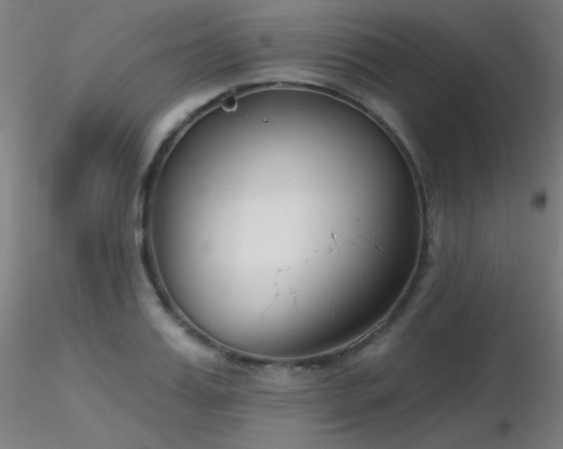 X0000116810987200912181340