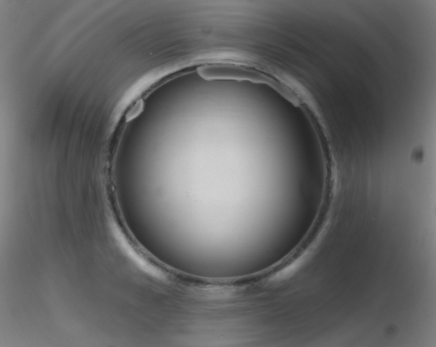 X0000116810989200912181340