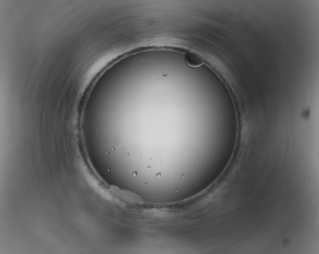 X0000116810990200912181340