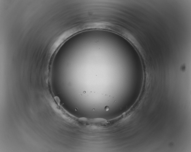 X0000116810994200912181340