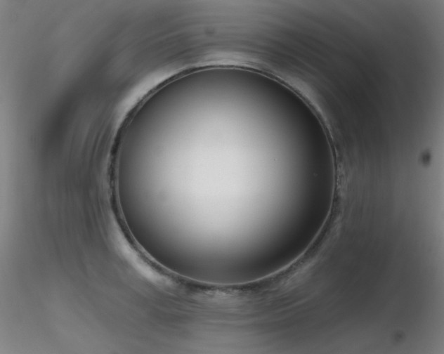 X0000116810995200912181340