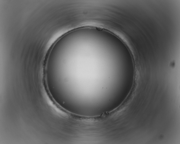 X0000116810999200912181340