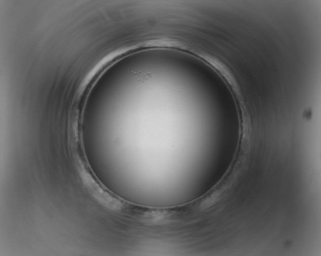 X0000116811000200912181340