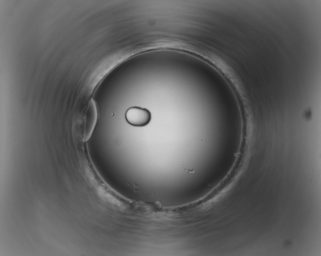 X0000116811001200912181340