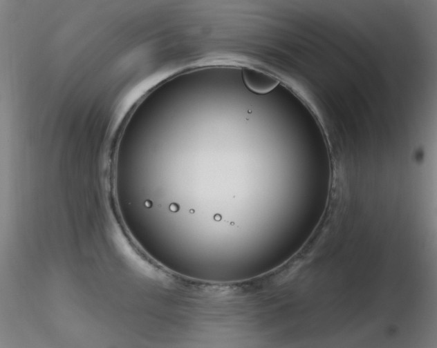 X0000116811003200912181340