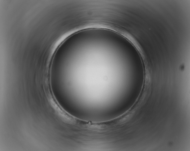 X0000116811004200912181340