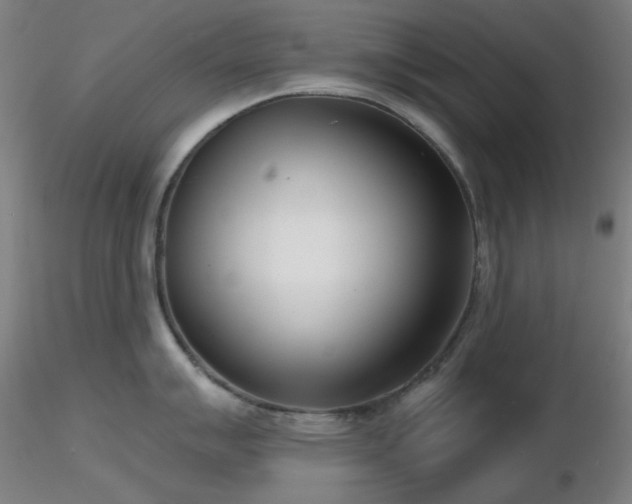 X0000116811007200912181340