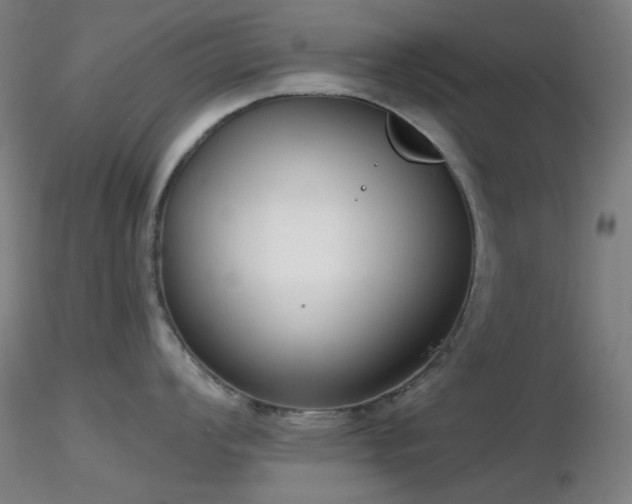 X0000116811008200912181340