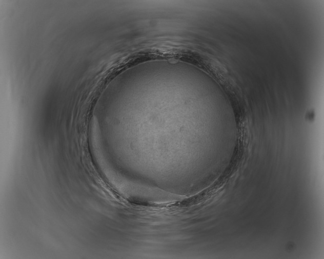 X0000116811009200912181339
