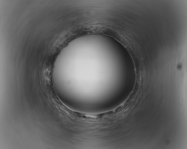 X0000116811010200912181339