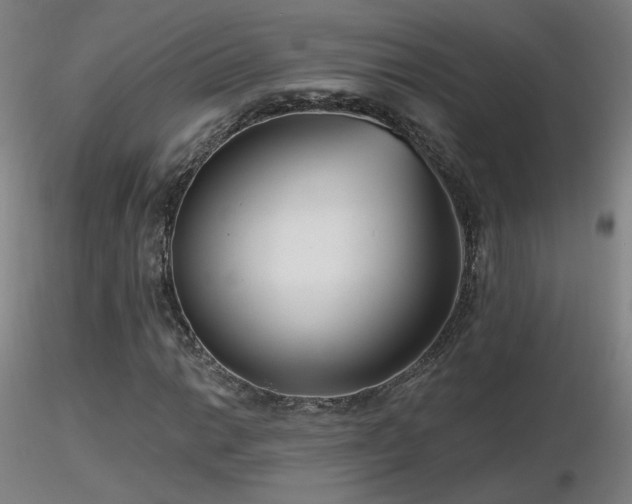 X0000116811014200912181339