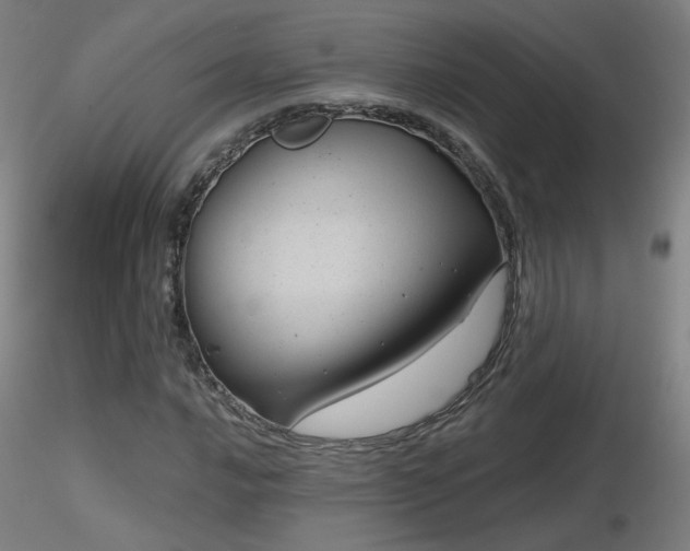 X0000116811016200912181339