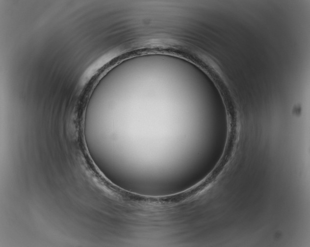 X0000116811018200912181339
