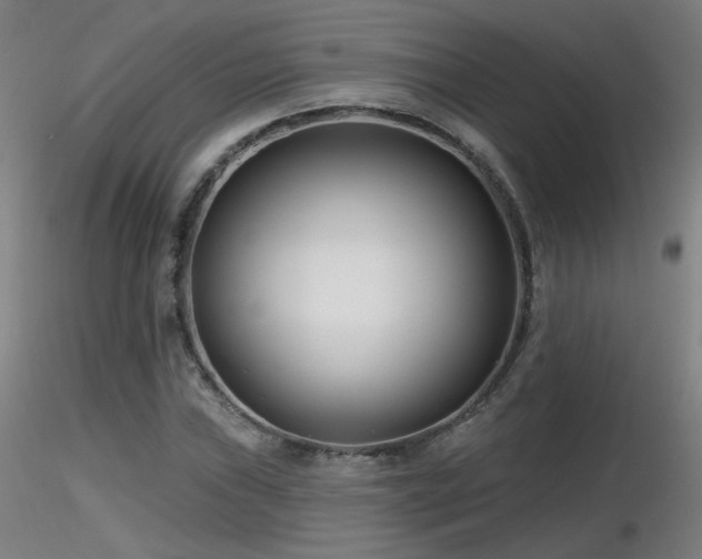 X0000116811019200912181339