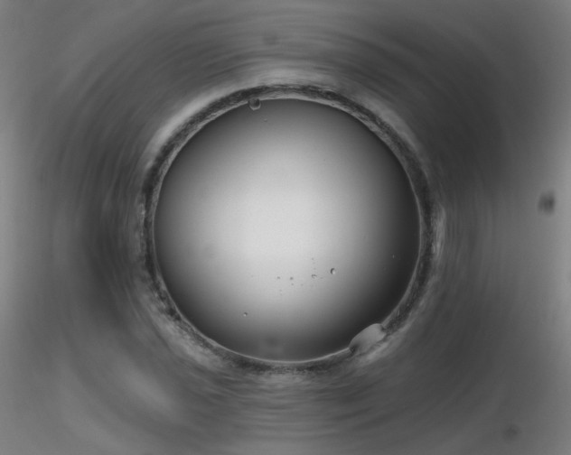 X0000116811021200912181339