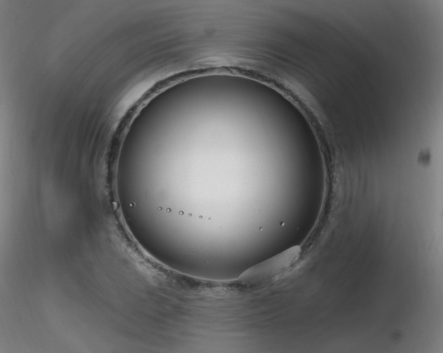 X0000116811023200912181340