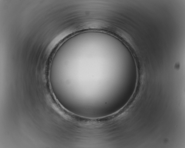 X0000116811026200912181340