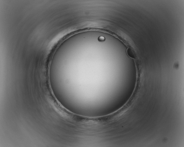 X0000116811027200912181340