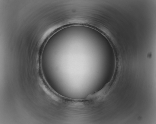 X0000116811030200912181340