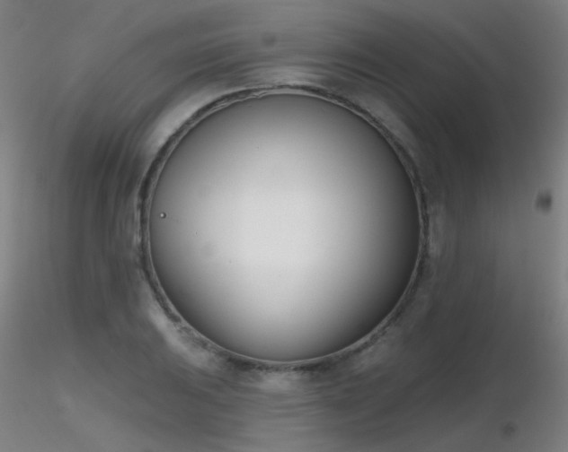 X0000116811031200912181340
