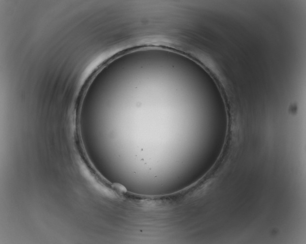 X0000116811032200912181340