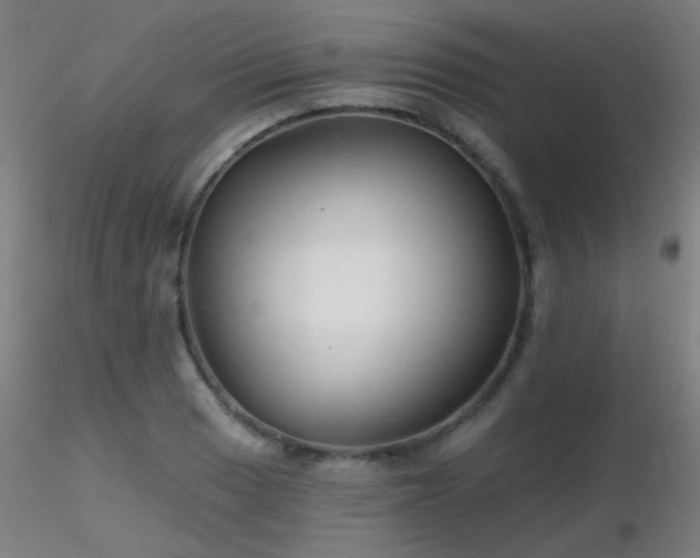 X0000116811033200912181340