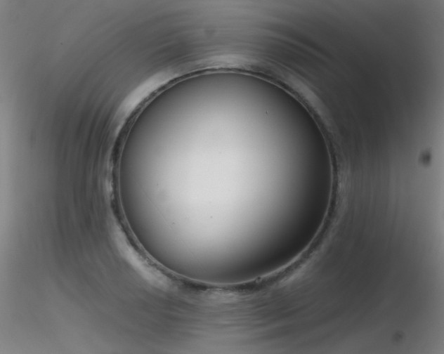 X0000116811034200912181340