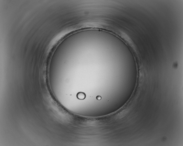 X0000116811035200912181340